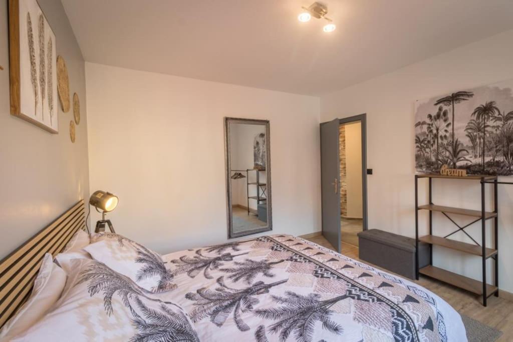 Appartement Le Saver'Zaru, Centre Ville, T2 55M² Saverne Exterior foto